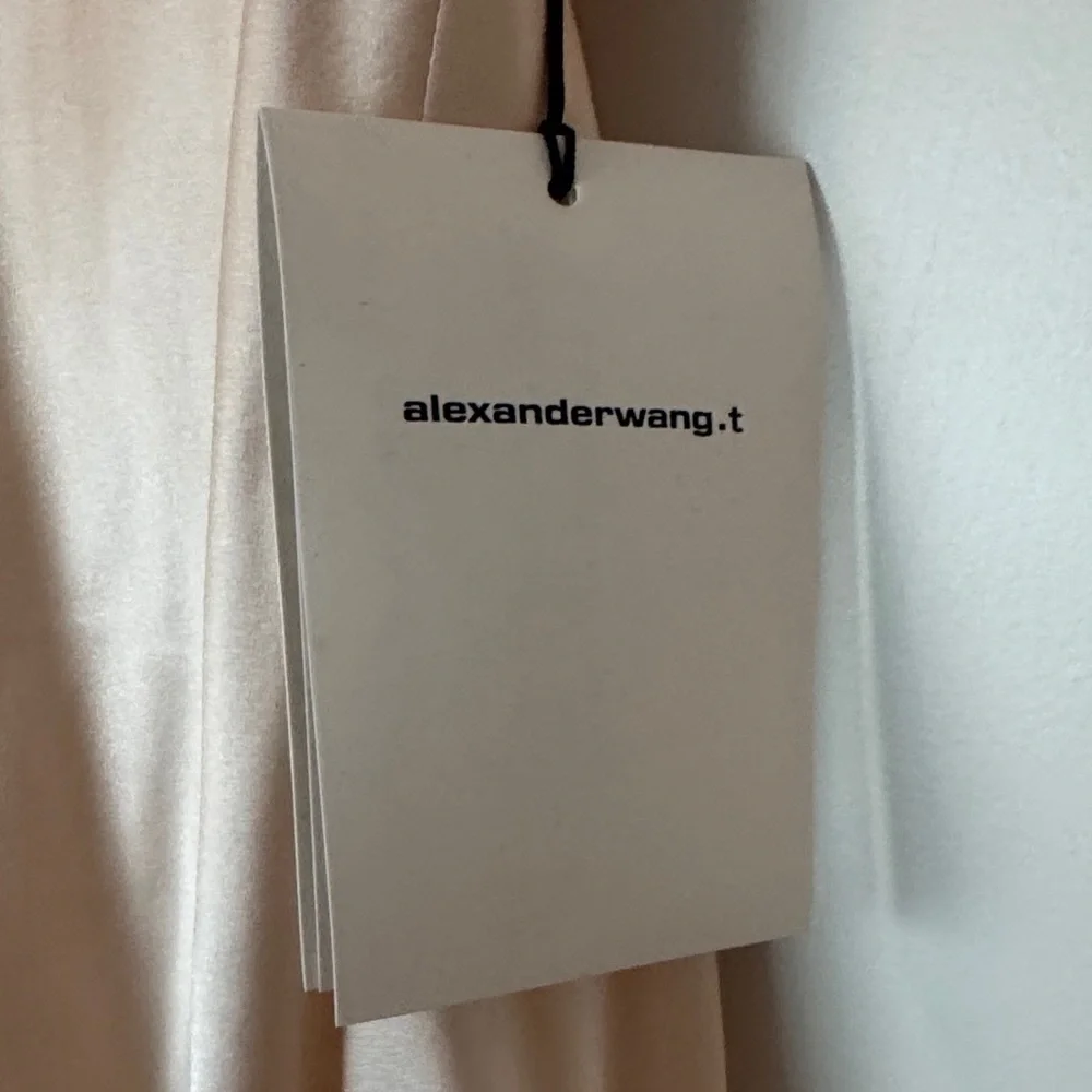 NWT Alexander Wang Silk Slip Dress with Lace - Picture 2 of 7